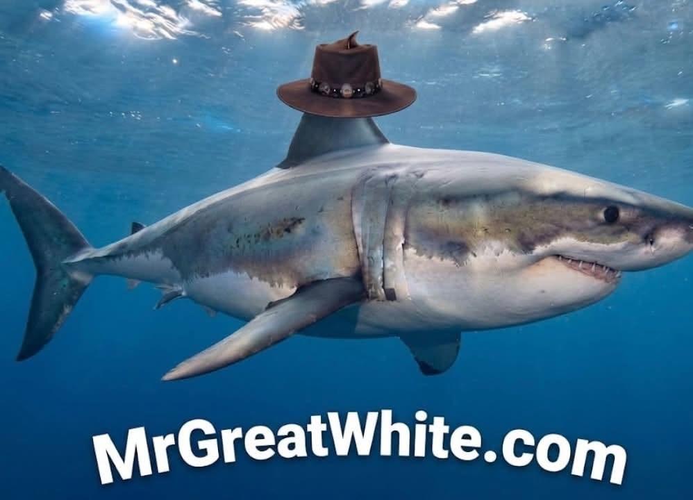 The Mr. Great White shark cruising by in his hat